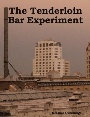 bokomslag Tenderloin Bar Experiment
