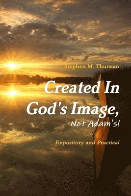 Stephen Thurstan - Created In God's Image, Not Adam's!, Häftad