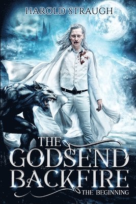 Harold Straugh - Godsend Backfire, Häftad