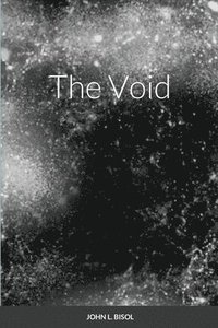 bokomslag The Void