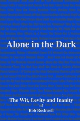bokomslag Alone In The Dark