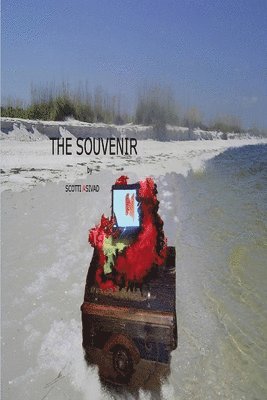 The Souvenir 1