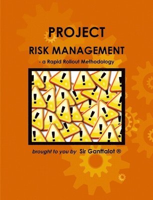 bokomslag Project Risk Management - a Rapid Rollout Methodology.