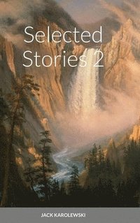 bokomslag Selected Stories 2