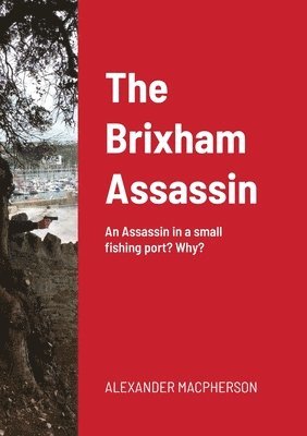 bokomslag Brixham Assassin