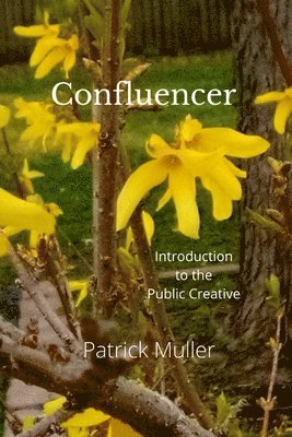 Patrick Muller - Confluencer, Häftad