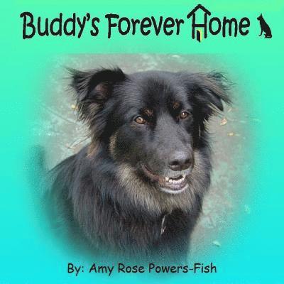 Buddy's Forever Home 1