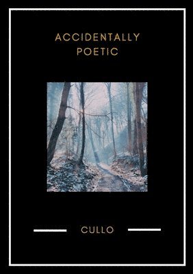 Cullo, Dan Cullinan - Accidentally Poetic, Häftad