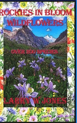 Rockies In Bloom - Wildflowers 1