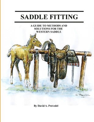 Saddle Fitting 1