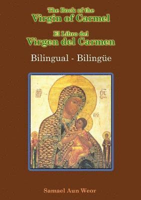 Book of the Virgin of Carmel