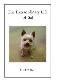 bokomslag Extraordinary Life of Sal