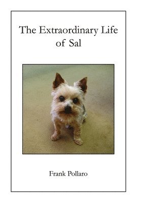 bokomslag Extraordinary Life of Sal