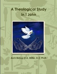 bokomslag A Theological Study In I John