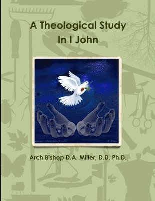 bokomslag A Theological Study In I John