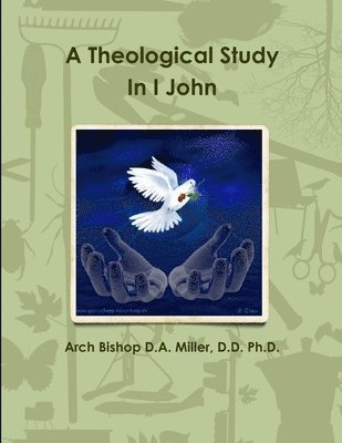 Theological Study In I John