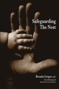 bokomslag Safeguarding the Nest 2nd Edition (PB)