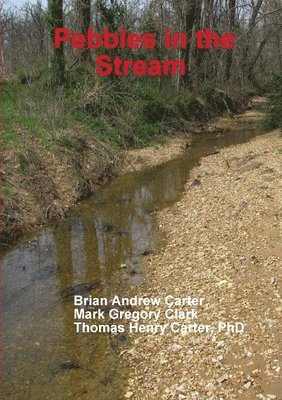 Pebbles in the Stream 1