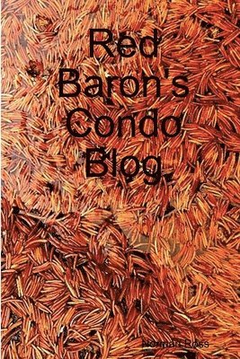 Red Baron's Condo Blog 1