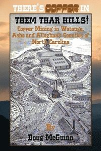 bokomslag There's Copper in Them Thar Hills!: Copper Mining in Watauga, Ashe and Alleghany Counties of North Carolina