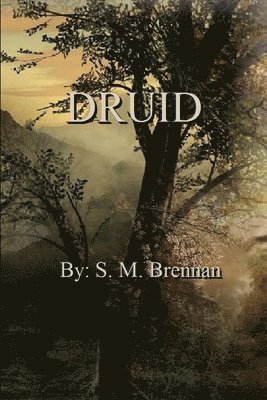 Druid 1