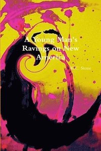 bokomslag Young Man's Ravings on New America