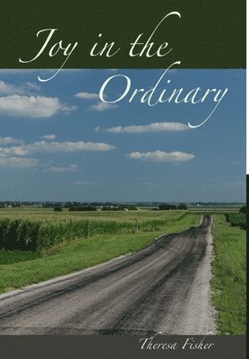 Joy in the Ordinary 1