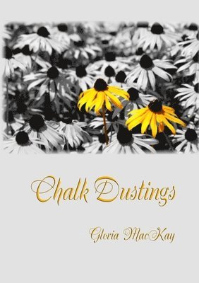 bokomslag Chalk Dustings