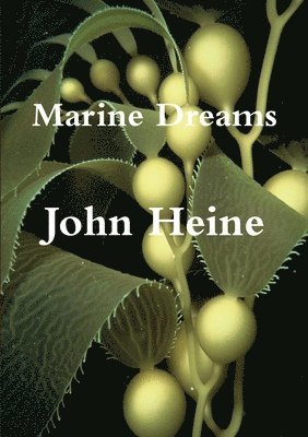 Marine Dreams