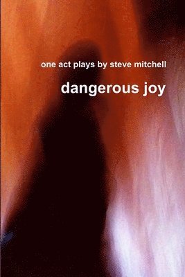 steve mitchell - Dangerous Joy, Häftad