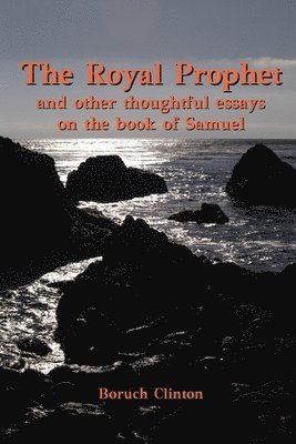 Royal Prophet - And Other Thoughtful Essays on the Book of Samuel