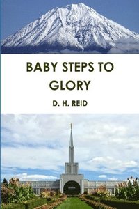 bokomslag Baby Steps to Glory