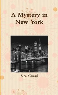 bokomslag A Mystery in New York
