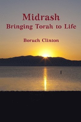 bokomslag Midrash - Bringing Torah to Life