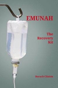 bokomslag Emunah - The Recovery Kit