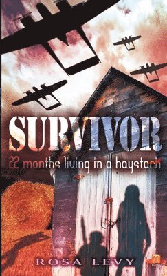 Survivor 1