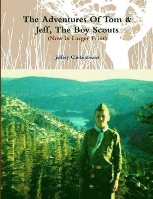 bokomslag The Adventures Of Tom & Jeff, The Boy Scouts (Now in Larger Print)