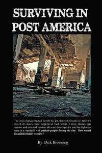 bokomslag Surviving In Post America