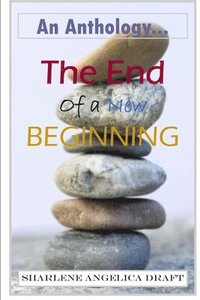 bokomslag The End of a New Beginning
