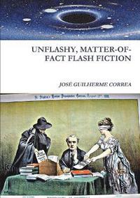 bokomslag Unflashy, Matter-Of-Fact Flash Fiction