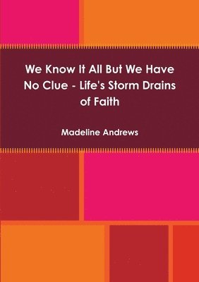 bokomslag We Know It All But We Have No Clue - Life's Storm Drains of Faith