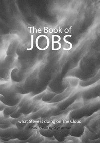 bokomslag The Book of Jobs