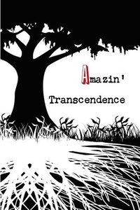 bokomslag Amazin' Transcendence