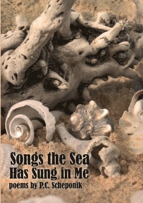 bokomslag Songs the Sea Has Sung in Me