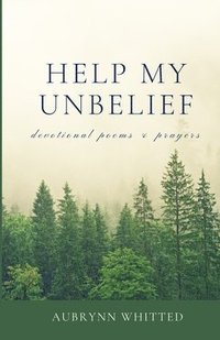 bokomslag Help My Unbelief