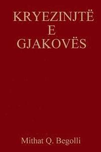 bokomslag Kryezinjtë E Gjakovës