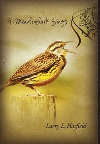 bokomslag Meadowlark Sings
