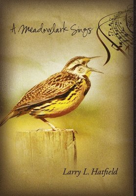 bokomslag Meadowlark Sings