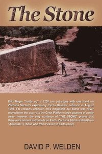 bokomslag Stone