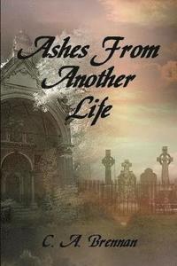 bokomslag Ashes From Another Life